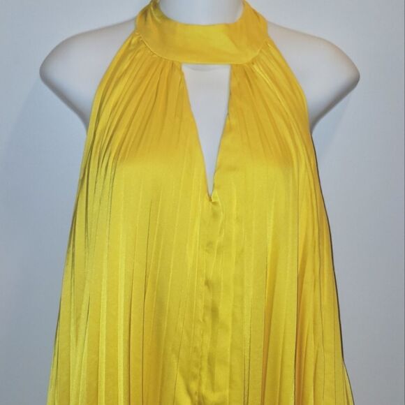 ANTHROPOLOGIE Hutch Halted Pleated Maxi Dress 1X NWT Pockets - Picture 9 of 16